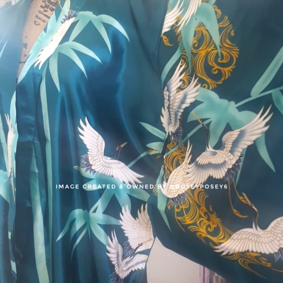 Japanese Crane Long Green Robe - Picture 3 of 8